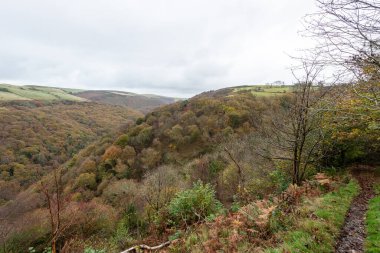 Countisbury Hill 'deki sonbahar renklerinin ve Exmmor Ulusal Parkı' ndaki Watersmeet Vadisi 'ndeki manzara fotoğrafı.