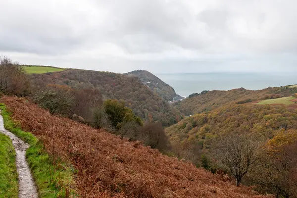 Countisbury Hill 'deki sonbahar renklerinin ve Exmmor Ulusal Parkı' ndaki Watersmeet Vadisi 'ndeki manzara fotoğrafı.
