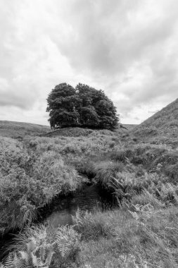 Exmoor Ulusal Parkı 'ndaki Üç Tuğla Ayağının Fotoğrafı