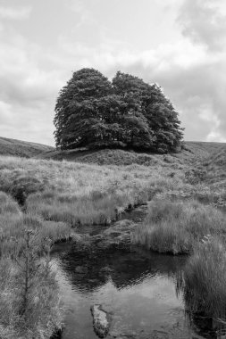 Exmoor Ulusal Parkı 'ndaki Üç Tuğla Ayağının Fotoğrafı