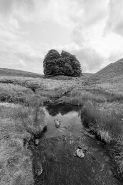 Exmoor Ulusal Parkı 'ndaki Üç Tuğla Ayağının Fotoğrafı