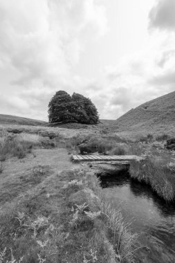 Exmoor Ulusal Parkı 'ndaki Üç Tuğla Ayağının Fotoğrafı