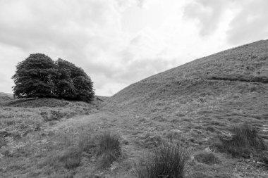 Exmoor Ulusal Parkı 'ndaki Üç Tuğla Ayağının Fotoğrafı