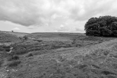 Exmoor Ulusal Parkı 'ndaki Üç Tuğla Ayağının Fotoğrafı