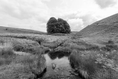 Exmoor Ulusal Parkı 'ndaki Üç Tuğla Ayağının Fotoğrafı