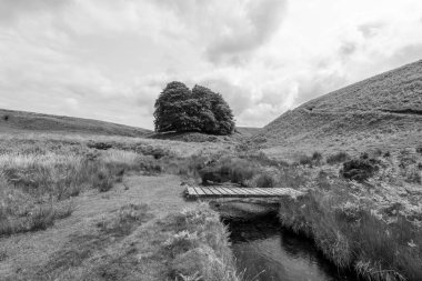 Exmoor Ulusal Parkı 'ndaki Üç Tuğla Ayağının Fotoğrafı