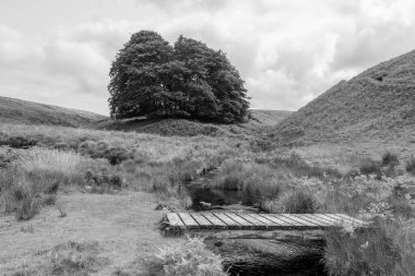 Exmoor Ulusal Parkı 'ndaki Üç Tuğla Ayağının Fotoğrafı