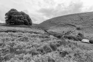 Exmoor Ulusal Parkı 'ndaki Üç Tuğla Ayağının Fotoğrafı