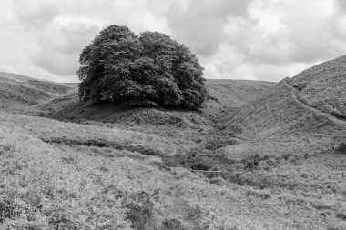 Exmoor Ulusal Parkı 'ndaki Üç Tuğla Ayağının Fotoğrafı