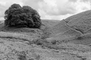 Exmoor Ulusal Parkı 'ndaki Üç Tuğla Ayağının Fotoğrafı