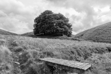 Exmoor Ulusal Parkı 'ndaki Üç Tuğla Ayağının Fotoğrafı