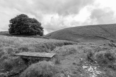 Exmoor Ulusal Parkı 'ndaki Üç Tuğla Ayağının Fotoğrafı