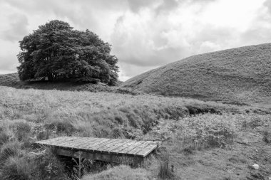 Exmoor Ulusal Parkı 'ndaki Üç Tuğla Ayağının Fotoğrafı