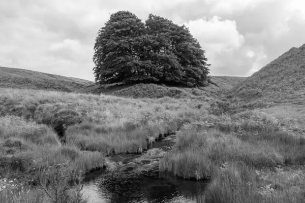 Exmoor Ulusal Parkı 'ndaki Üç Tuğla Ayağının Fotoğrafı