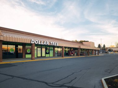 Whitesboro, New York - 17 Ekim 2022: Dollar Tree Mağazasının Manzarası, Daha önce bilinen adıyla (Sadece 1 $).