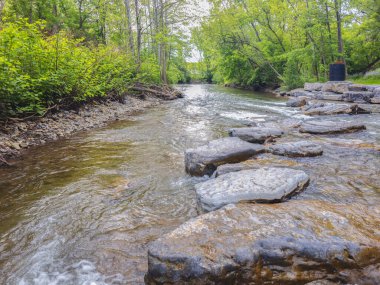 Sauquoit Deresi 'nin manzara manzarası, New York' un kuzeyindeki Oneida ilçesinden geçen önemli bir su yolu, Sauquoit köyündeki kaynaklar, Mohawk Nehri 'ne katılır ve 30 km boyunca uzanır.