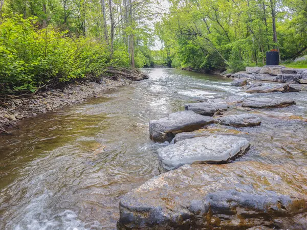 Sauquoit Deresi 'nin manzara manzarası, New York' un kuzeyindeki Oneida ilçesinden geçen önemli bir su yolu, Sauquoit köyündeki kaynaklar, Mohawk Nehri 'ne katılır ve 30 km boyunca uzanır.