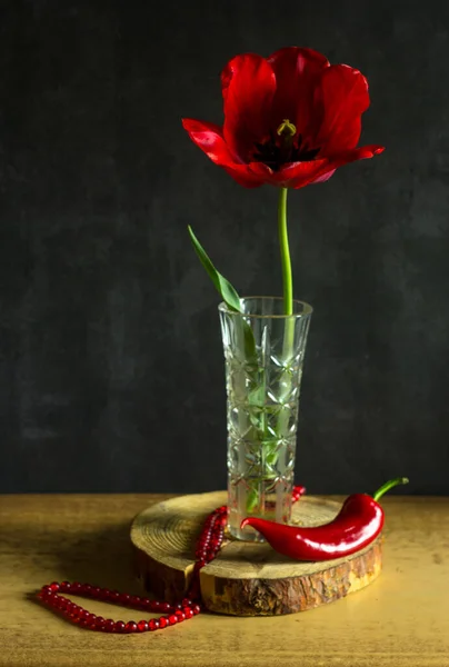 stock image red tulip on black background