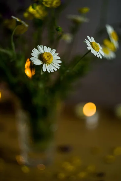 Daisies in a vase against the background of candles, bokeh