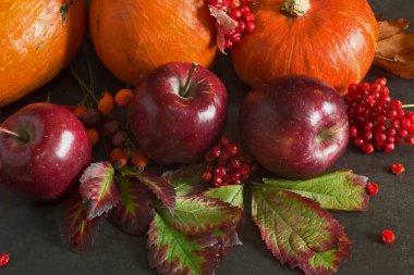 Sonbahar arkaplanı, kabaklar ve kestaneler.