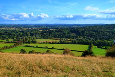 Box Hill, Surrey, İngiltere