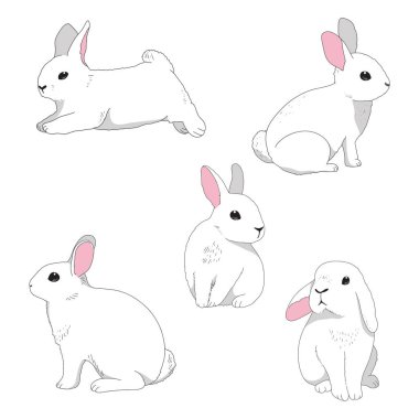 Minimum tavşan çizgisi farklı tavşancıklarda karalama vektör illüstrasyonudur.