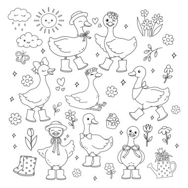 Aptal Kaz Vektörü, Papatya Çiçeği, Bahar Elementleri Sayfa Çizgisi Resim Çizimi Tasarımı