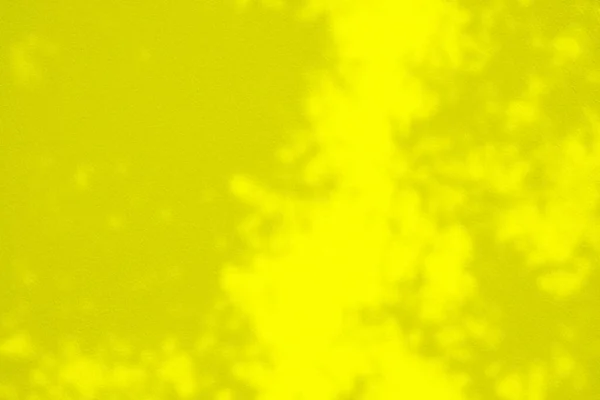 表面に葉の影が付いている黄色のStucco壁の背景 — ストック写真