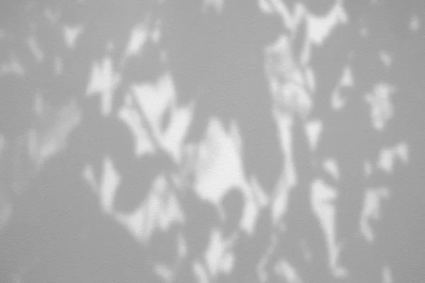 Leaves Shadow Surface White Concrete Wall Background — Stock Photo, Image