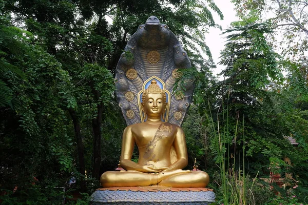 Antikes Goldenes Buddha Bild Unter Der Haube Der Mythischen Schlange — Stockfoto