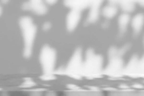 Білий Мармуровий Стіл Тінню Дерев Саду Бетонному Фоні Текстури Стін — стокове фото