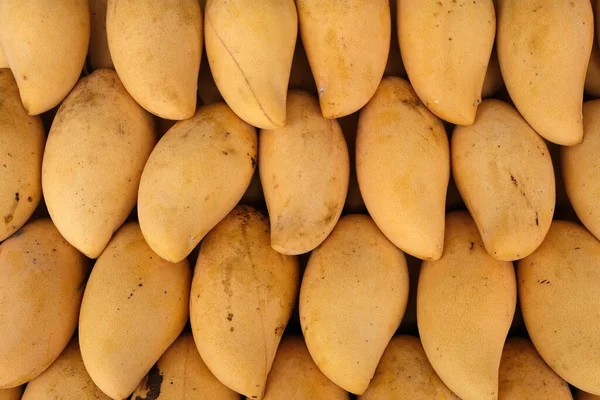 Ripe Yellow Mango in Market.