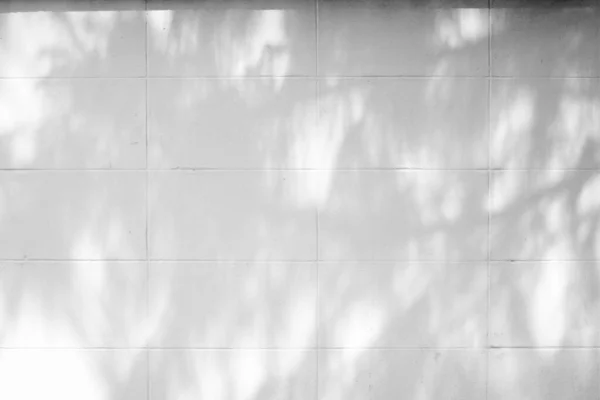 Тень Сосны Рождественской Елки Фоне Кирпичной Стены — стоковое фото