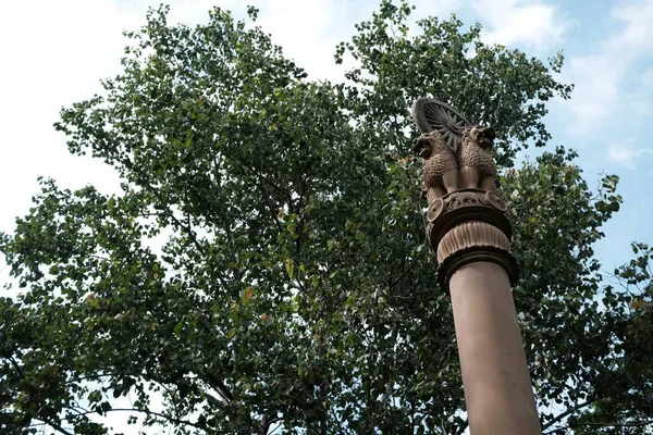 Nakhon Pathom Thailandia Giugno 2022 Pilastri Ashoka Nel Parco Wat — Foto Stock