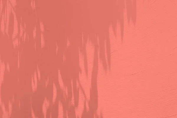Stucco Wall Met Bladeren Shadow Surface Burnt Coral Tone Geschikt — Stockfoto