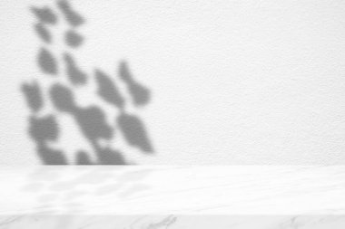 Yapraklı beyaz mermer masa ve beton duvar dokusu arka planında Bush Gölgesi, Ürün Sunumu, Görünüm ve Moda İçin Uygun.