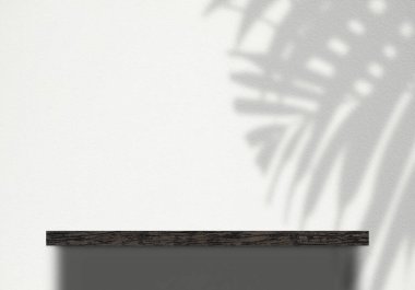 Yüzeyinde hindistan cevizi yaprağı olan Beyaz Beton Duvar Arkaplanı üzerindeki ahşap kitaplık, Ürün Sunumu, Ekran ve Mock için uygun.