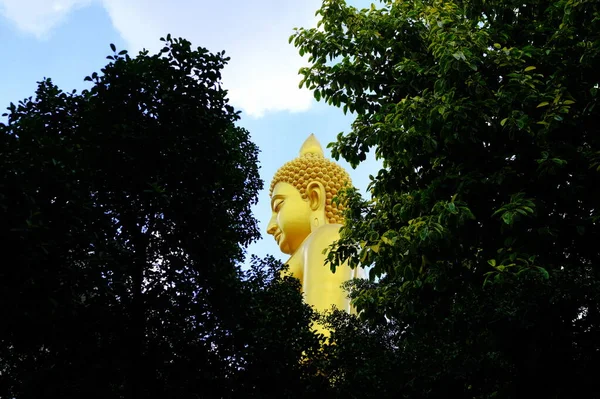 Obrovský Obraz Zlatého Buddhy Wat Paknam Phra Srí Charoen Chrámu — Stock fotografie
