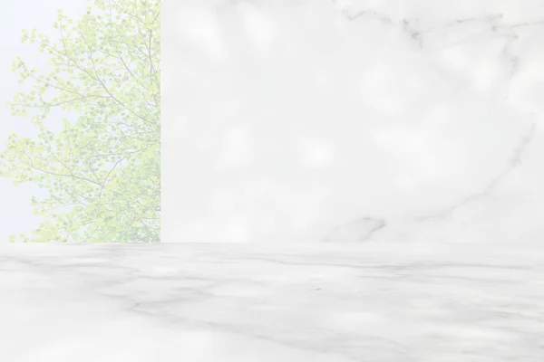 Marmeren Kamer Met Bladeren Schaduw Stucco Wall Green Ginkgo Bladeren — Stockfoto