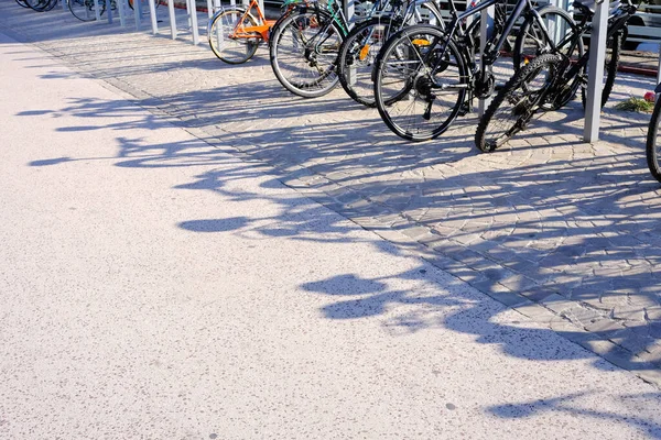 Shadow Bicycle Road — Stock Photo, Image