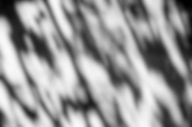 Beyaz Doğal Işık ve Gölge Arkaplanı, Ürün Sunumuna Uygun.