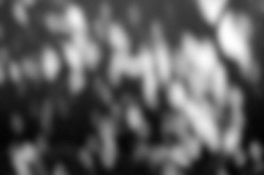 Beyaz Doğal Işık ve Gölge Arkaplanı, Ürün Sunumuna Uygun.