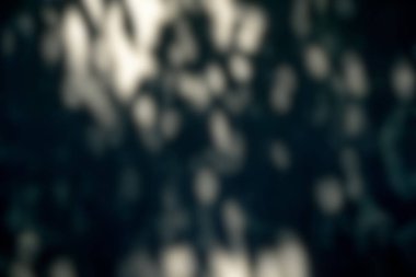 Blured Bokeh, Aydınlık Işın ve Gölge Üstüste koyma ve Renk Efekti.