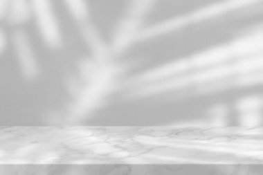 Hindistancevizi Yapraklı Mermer Masa Beton Duvar dokusu Arkaplanında Gölge Bırakıyor, Ürün Sunum Arkaplanı, Görüntü ve Moda İçin Uygun.