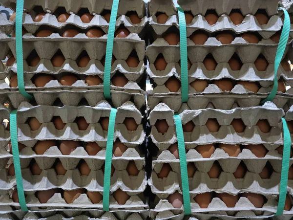 Close up Stack of Egg in Tray.