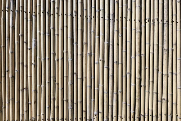 Close up Bamboo Stick Wall Texture Background.
