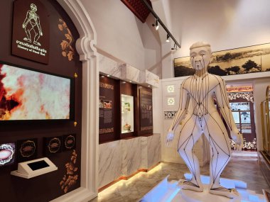 BANGKOK, THAILAND - NOVEMBER 07, 2023: Tayland sağlık diyagramı Tayland masaj müzesinde veya Nuad Thai müzesinde insan vücudundaki basınç noktalarını gösteriyor.