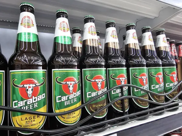 BANGKOK, THAILAND - 23 Kasım 2023: Carabao Beer on Shelf. Tayland 'da içecek endüstrisinin en önemli oyuncularından biri olan Carabao Grubu tarafından başlatılmıştır..