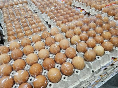 Yumurta Yığını Tablada Kapat.