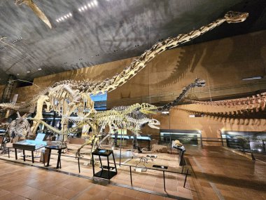 KITAKYUSHU, JAPONYA - 15 Kasım 2023: Kitakyushu Doğal Tarih ve İnsanlık Tarihi Müzesi. Fukuoka 'nın ünlü bir simgesidir..